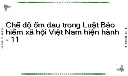 Chế độ ốm đau trong Luật Bảo hiểm xã hội Việt Nam hiện hành - 11