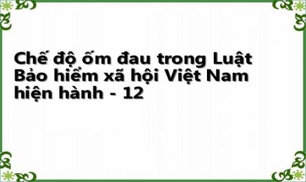 Chế độ ốm đau trong Luật Bảo hiểm xã hội Việt Nam hiện hành - 12