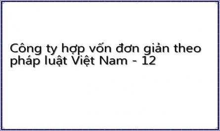 Công ty hợp vốn đơn giản theo pháp luật Việt Nam - 12