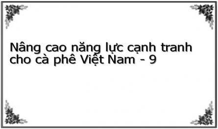 Một Số Giải Pháp Chủ Yếu Nâng Cao Năng Lực Cạnh Tranh Của Cà Phê Việt Nam