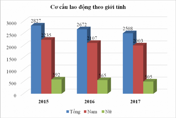 Biểu đồ 3 1 Cơ cấu lao động theo giới tính trong giai đoạn 2015 2017 Nguồn Báo 1