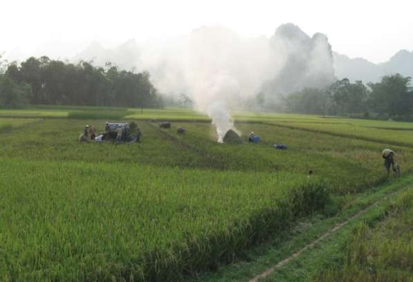 Vào mùa ở xã Hùng An Bắc Quang Hà Giang Ngày cấy trên quê hương Bản của 3