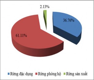 Hình 3 2 Cơ cấu sử dụng rừng tự nhiên Hình 3 3 Cơ cấu sử dụng rừng trồng 1