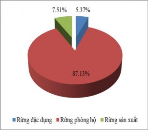 Hình 3 2 Cơ cấu sử dụng rừng tự nhiên Hình 3 3 Cơ cấu sử dụng rừng trồng 2