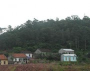 Nhà ở khu Trung tâm xã và ven đường Quốc lộ 4B tầng cao trung bình là 1 1 5 6