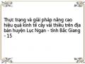 Thực trạng và giải pháp nâng cao hiệu quả kinh tế cây vải thiều trên địa bàn huyện Lục Ngạn - tỉnh Bắc Giang - 15