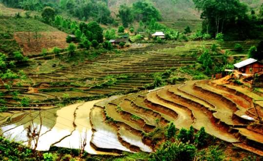 Hình 1 Ruộng bậc thang Xã Công Bằng – Pác Nặm – Bắc Kạn Ảnh do Đoàn Nghệ 1