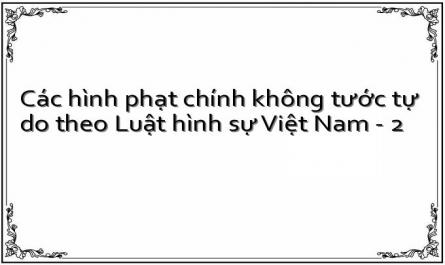 Các hình phạt chính không tước tự do theo Luật hình sự Việt Nam - 2