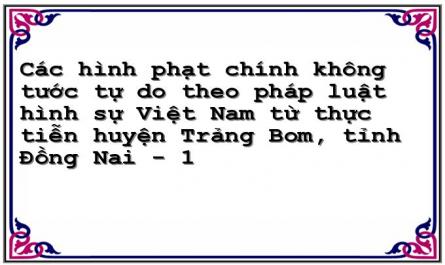 Các hình phạt chính không tước tự do theo pháp luật hình sự Việt Nam từ thực tiễn huyện Trảng Bom, tỉnh Đồng Nai - 1