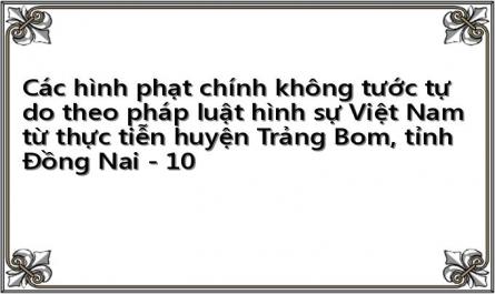 Các hình phạt chính không tước tự do theo pháp luật hình sự Việt Nam từ thực tiễn huyện Trảng Bom, tỉnh Đồng Nai - 10