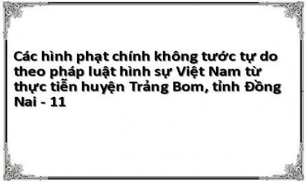 Các hình phạt chính không tước tự do theo pháp luật hình sự Việt Nam từ thực tiễn huyện Trảng Bom, tỉnh Đồng Nai - 11