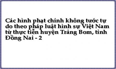 Các hình phạt chính không tước tự do theo pháp luật hình sự Việt Nam từ thực tiễn huyện Trảng Bom, tỉnh Đồng Nai - 2