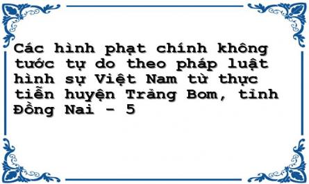 Các hình phạt chính không tước tự do theo pháp luật hình sự Việt Nam từ thực tiễn huyện Trảng Bom, tỉnh Đồng Nai - 5