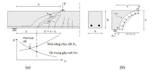 Hình 2 19 Mô hình vết nứt trượt trong dầm bê tông cốt sợi thép không có cốt 4
