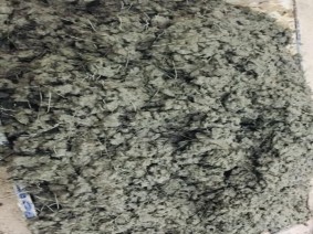 Hình 2 Trộn hỗn hợp bê tông cốt sợi bằng máy trộn cưỡng bức Tiến hành 7