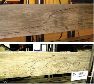 Hình 1 9 Các vết nứt do lực cắt gây ra trong dầm BT CĐC và BTCĐC CST 101 a Không 1