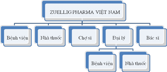 Hình 2 3 Sơ đồ mạng lưới phân phối Dưới đây là tỷ lệ doanh số các kênh 1