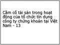 Cầm cố tài sản trong hoạt động của tổ chức tín dụng công ty chứng khoán tại Việt Nam - 13