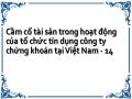 Cầm cố tài sản trong hoạt động của tổ chức tín dụng công ty chứng khoán tại Việt Nam - 14