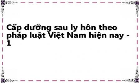 Cấp dưỡng sau ly hôn theo pháp luật Việt Nam hiện nay - 1