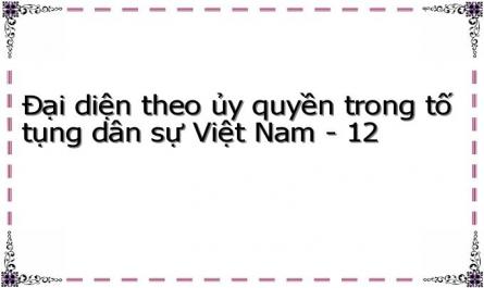 Đại diện theo ủy quyền trong tố tụng dân sự Việt Nam - 12