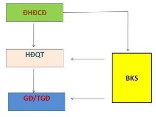 Mô hình 2 Mô hình không có không bắt buộc Ban kiểm soát Để làm rõ vấn đề 1