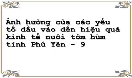 Chi Phí Thuốc Trong Quá Trình Nuôi Tôm Hùm (1.000 Đồng /m3)