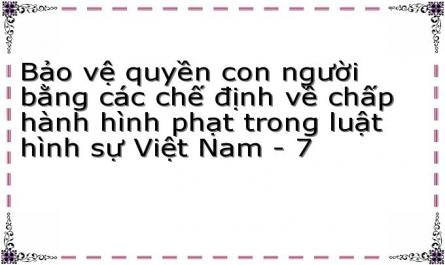 Bảo vệ quyền con người bằng các chế định về chấp hành hình phạt trong luật hình sự Việt Nam - 7