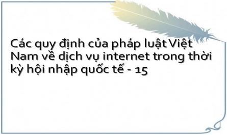 Các quy định của pháp luật Việt Nam về dịch vụ internet trong thời kỳ hội nhập quốc tế - 15