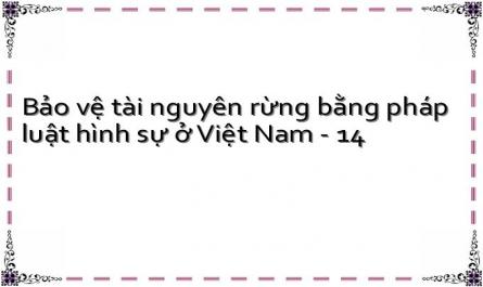 Bảo vệ tài nguyên rừng bằng pháp luật hình sự ở Việt Nam - 14