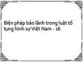Biện pháp bảo lãnh trong luật tố tụng hình sự Việt Nam - 16