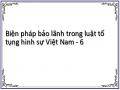Biện Pháp Bảo Lĩnh Trong Bộ Luật Tố Tụng Hình Sự Việt Nam Năm 2003