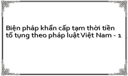 Biện pháp khẩn cấp tạm thời tiền tố tụng theo pháp luật Việt Nam - 1
