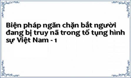 Biện pháp ngăn chặn bắt người đang bị truy nã trong tố tụng hình sự Việt Nam - 1