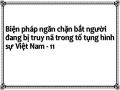 Biện pháp ngăn chặn bắt người đang bị truy nã trong tố tụng hình sự Việt Nam - 11