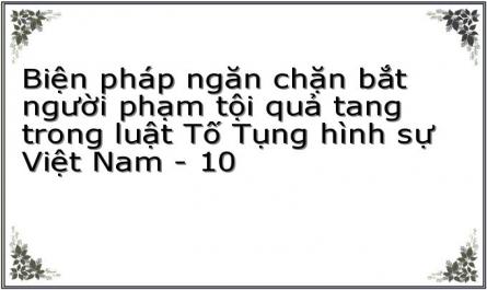 Biện pháp ngăn chặn bắt người phạm tội quả tang trong luật Tố Tụng hình sự Việt Nam - 10