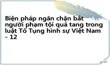 Biện pháp ngăn chặn bắt người phạm tội quả tang trong luật Tố Tụng hình sự Việt Nam - 12