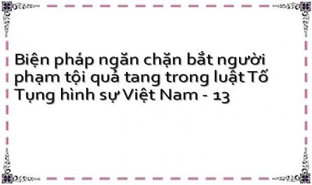 Biện pháp ngăn chặn bắt người phạm tội quả tang trong luật Tố Tụng hình sự Việt Nam - 13