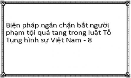 Biện pháp ngăn chặn bắt người phạm tội quả tang trong luật Tố Tụng hình sự Việt Nam - 8