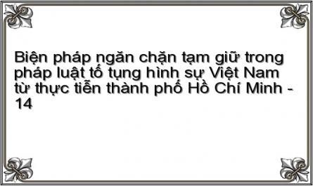 Biện pháp ngăn chặn tạm giữ trong pháp luật tố tụng hình sự Việt Nam từ thực tiễn thành phố Hồ Chí Minh - 14