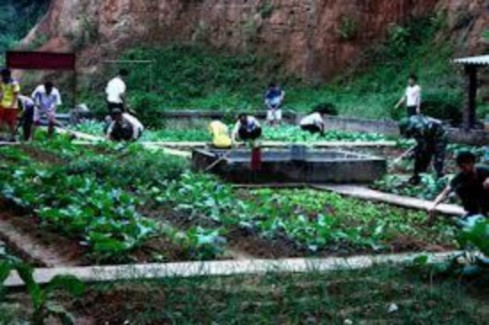 Phong trào tăng gia sản xuất Những bức ảnh trên chúng tôi sưu tầm trên báo 9