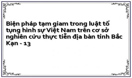 Biện pháp tạm giam trong luật tố tụng hình sự Việt Nam trên cơ sở nghiên cứu thực tiễn địa bàn tỉnh Bắc Kạn - 13