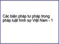 Các biện pháp tư pháp trong pháp luật hình sự Việt Nam