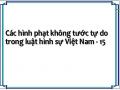 Các hình phạt không tước tự do trong luật hình sự Việt Nam - 15
