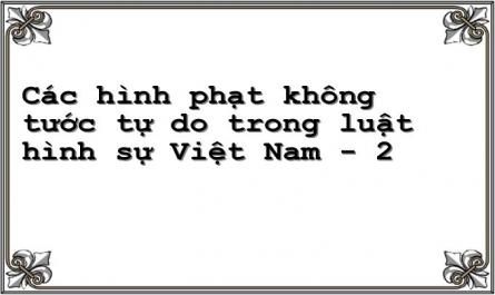 Các hình phạt không tước tự do trong luật hình sự Việt Nam - 2