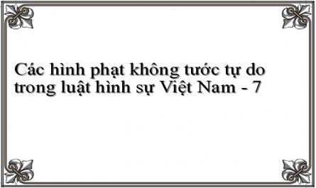 Các hình phạt không tước tự do trong luật hình sự Việt Nam - 7