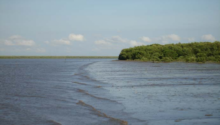 Hình 4 14 Tài nguyên biển và ven biển bán đảo Cà Mau Bùi Thị Nga ctv2007 Hình 4 15 1