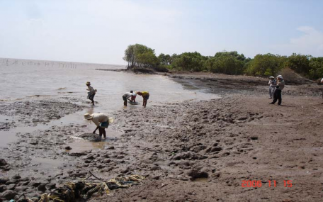 Hình 4 16 Rừng ngập mặn –sinh kế của người dân vùng ven biển Bùi Thị Nga 3