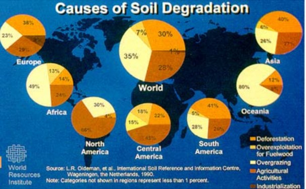 Hình 5 1 Các nguyên nhân chính gây suy thoái đất trên thế giới Lê Văn Khoa 2005 V 1