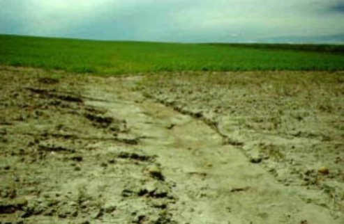 Hình 5 2 Đất bị suy thoái do nước Lê Văn Khoa 2005 Hình 5 3 Đất bị suy thoái do 2